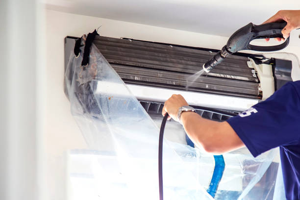 Air Duct Mold Removal in Lake Telemark, NJ