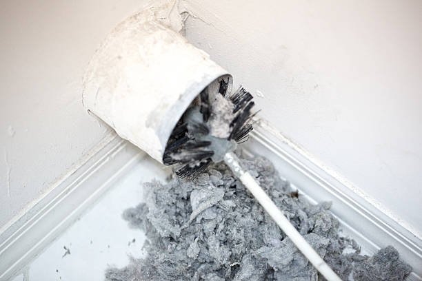 Air Duct Mold Removal in Lake Telemark, NJ